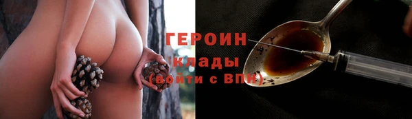 индика Медногорск