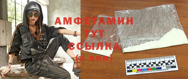 индика Медногорск