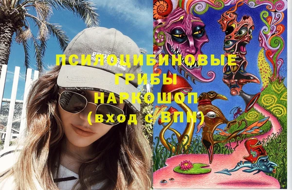 индика Медногорск