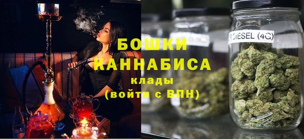 индика Медногорск