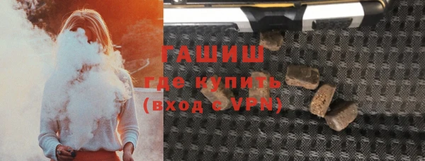 индика Медногорск