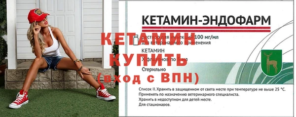 индика Медногорск