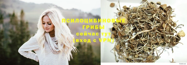 первитин Фёдоровский