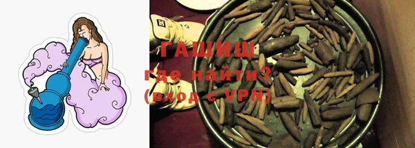 индика Медногорск